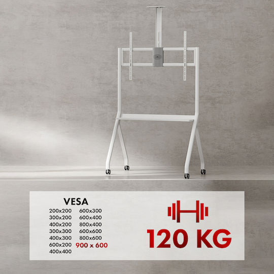 Maclean Energy MC-114 W TV Mount Floor up to 100" and 10kg White