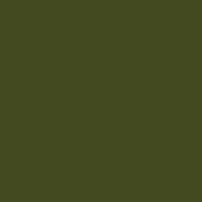 Dupli Color Chalk Paint 400ml Evergreen