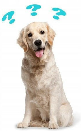 Paka Zwierzaka 9kg Dry Food Grain-Free & Gluten-Free for Medium & Large Breed Puppies with Lamb