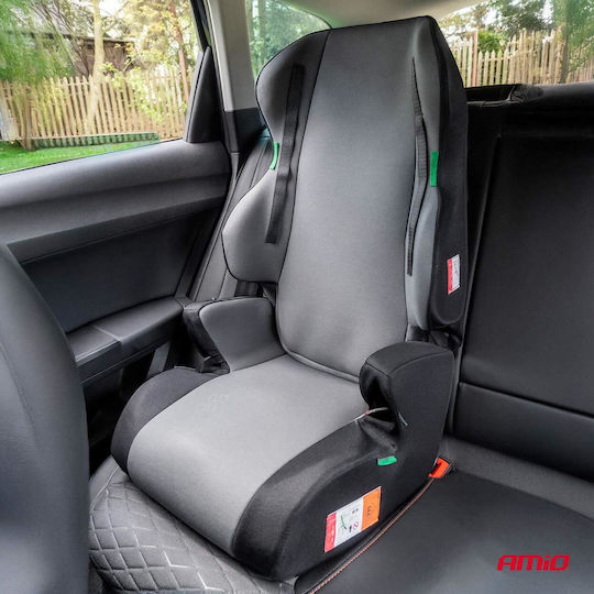 AMiO Baby Car Seat Gray