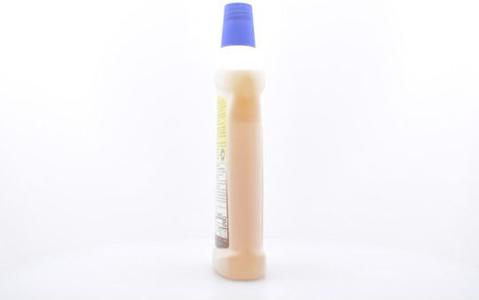Pronto Καθαριστικό Υγρό Γενικής Χρήσης 750ml