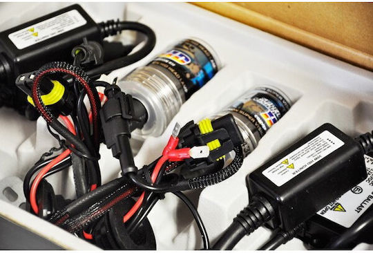 AMiO Xenon Set de Iluminare H1 35W 9-16V 4300K Alb natural