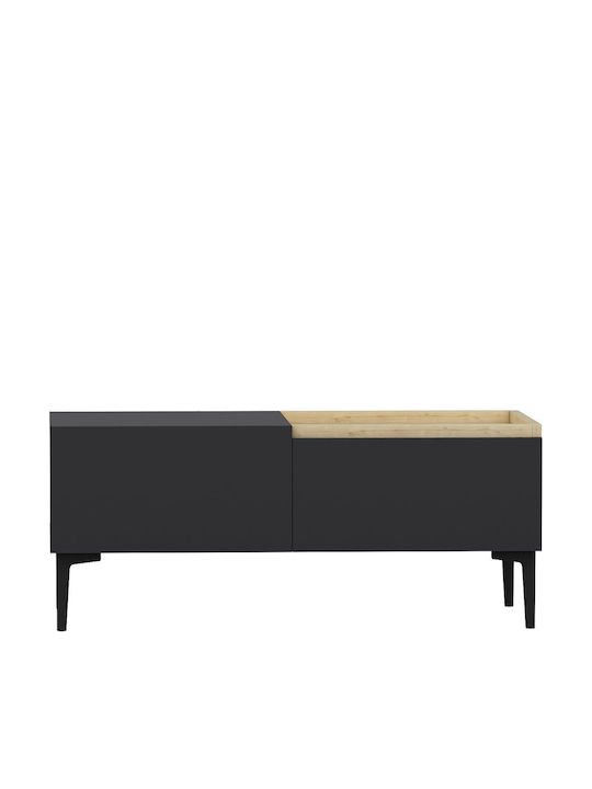 TV-Ständer Anthracite M160xP37xH48cm