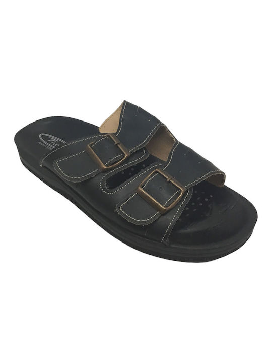Fild Anatomic Fild Anatomic