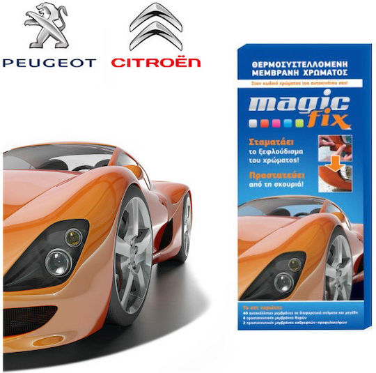 Magic Fix Silver Ezr Peugeot-Citroen Car Protection Accessories