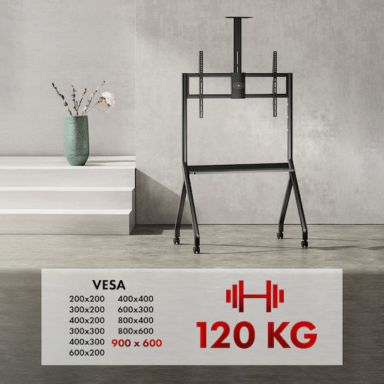Maclean Energy MC-114 B Wall TV Mount up to 100" and 10kg