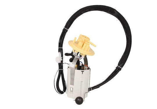 Bosch Kraftstoffpumpe für Autos für Volvo S60