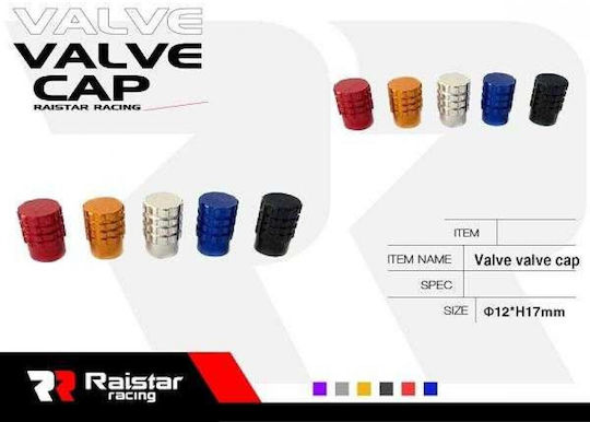 Raistar Ventilkappen für Autoreifen Silber 4Stück