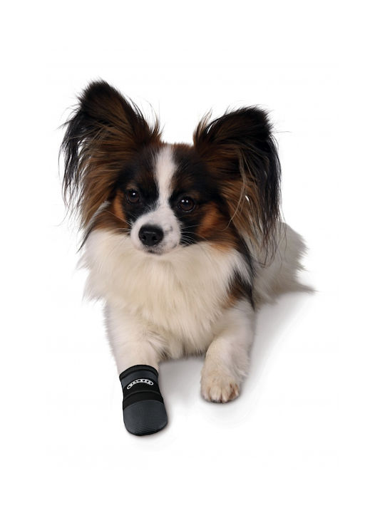 Trixie Walker Care Socks Dog Black in Black Color