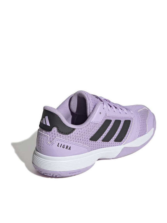 adidas Ligra 8 Indoor Μωβ