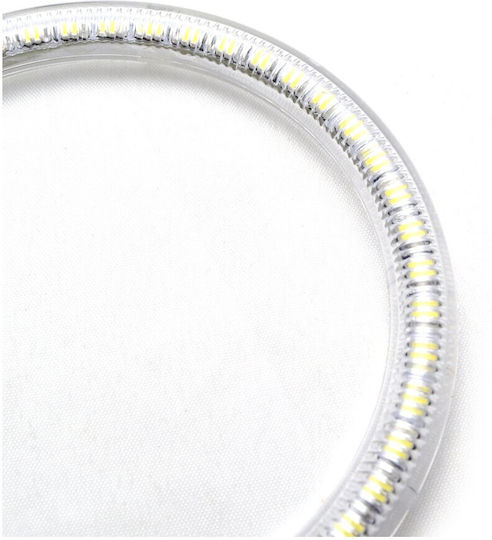 Car Headlight Angel Eye Ring 12V White Color