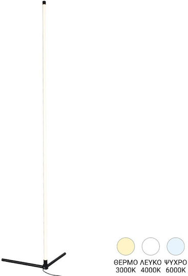 Pakketo Esthetic LED Floor Lamp H140xW45cm. Black