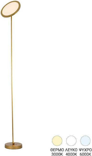 Pakketo Rita LED Floor Lamp H160xW25cm. Gold