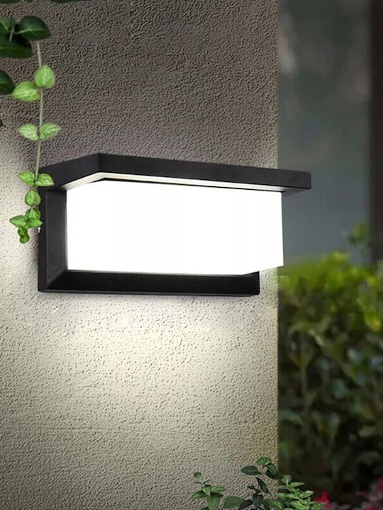 Lvt Επιτοίχια Εξωτερική Πλαφονιέρα LED IP54 12W με Φυσικό Λευκό Φως