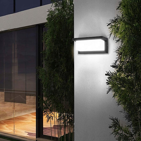 Lvt Ceiling Lamp LED 12W 4000K