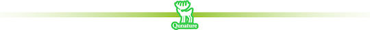 Qunature Qunature Picnic Blanket 2x2cm in Green Color