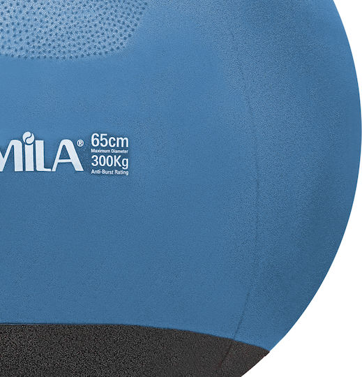 AMILA Pilates Ball 65cm 1.1kg In Blue Colour