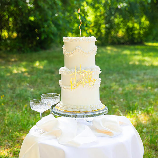 Party Pal Decorative for Cake