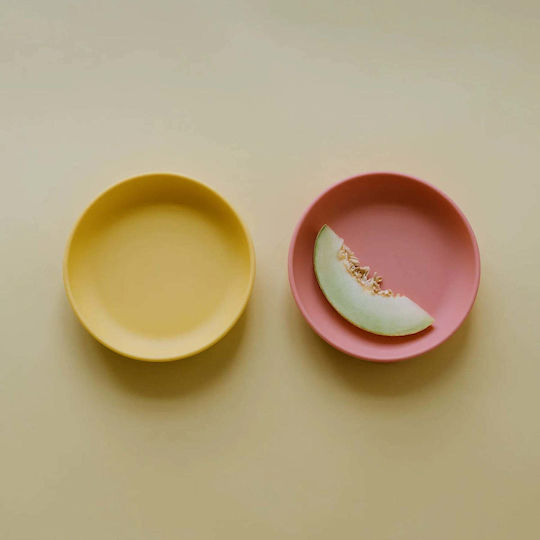 Ekobo Baby Food Plate made of Silicone