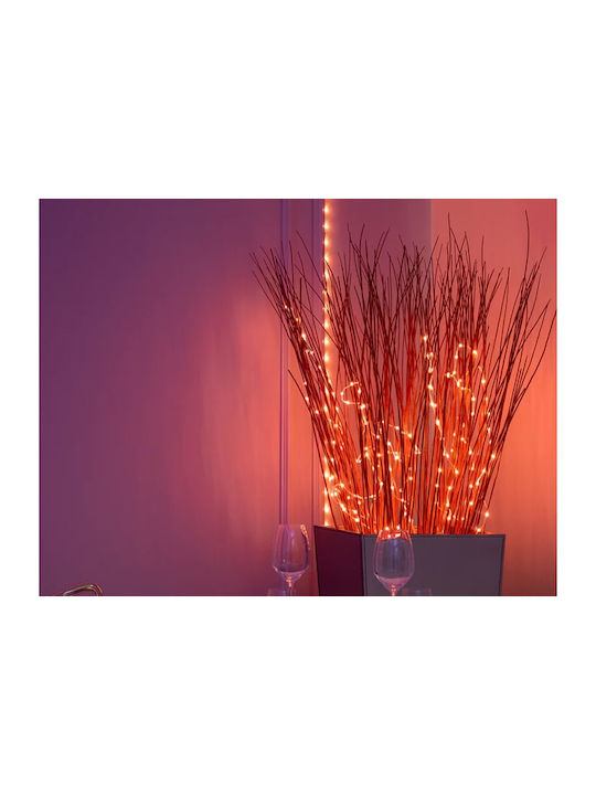 400 Λαμπάκια LED 20μ. RGB σε Σειρά