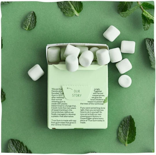 True Gum Τσίχλες με Γεύση Μέντα Χωρίς Προσθήκη Ζάχαρης 21gr