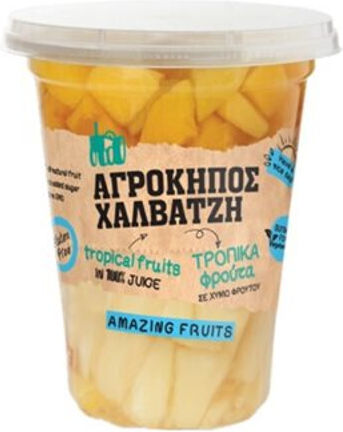 Oikogeneia CHalvatzi Compote Tropical Fruits in Glass 400gr