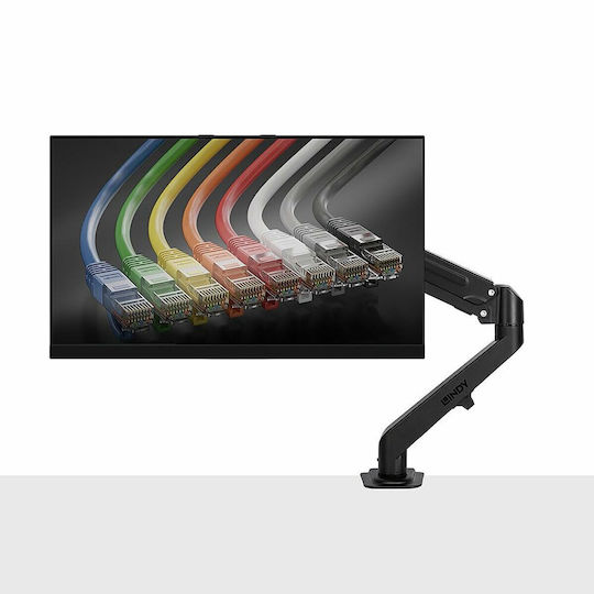 Lindy Schreibtisch Halterung Monitor mit Arm (40707)