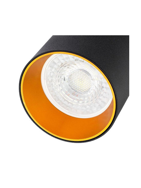 Masterled Spot mit 6 Lichtern und mit Fassung GU10 in Gold Farbe