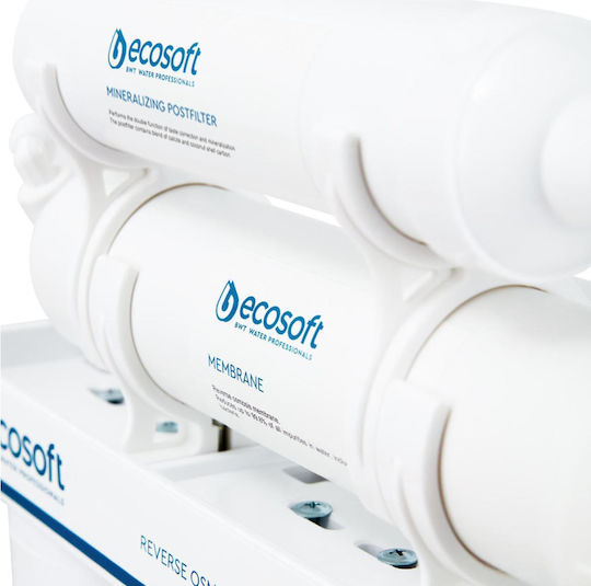 Ecosoft Reverse Osmosis System 5 Stages Standard