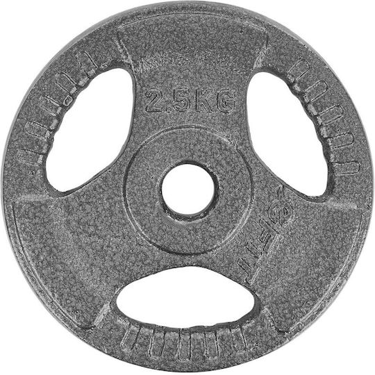 Victoria Sport Scheibenset Metall 1 x 2.5kg mit Griffen