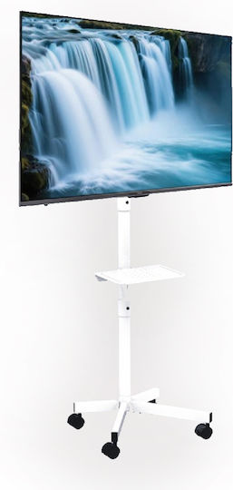 Gembird TVS-55T-03-W Βάση Τηλεόρασης Δαπέδου έως 55" Λευκό