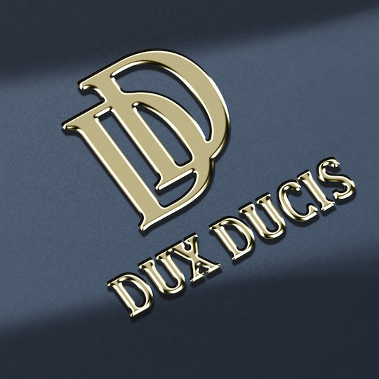 Dux Ducis Book Piele artificială / Silicon / Plastic Albastru (Honor Magic6 Lite 5G)