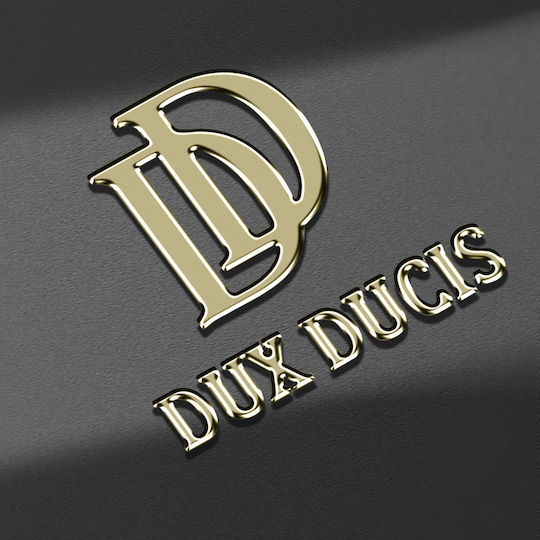 Dux Ducis Skin Pro Realme 12 Pro 12 Pro+ Schwarz