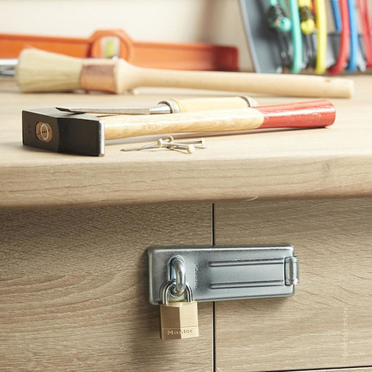 Master Lock Lăcăt Potcoavă cu cheie 30mm 4buc