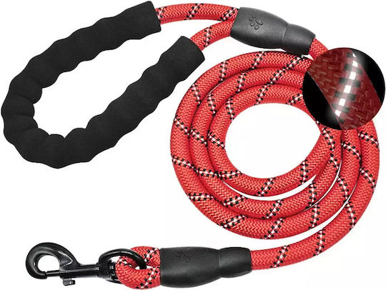 Foldable Dog Leash/Lead Strap in Red color