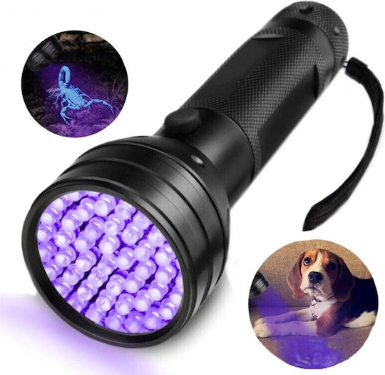 Lanternă LED Lumini de lucru și de sit, Albastru