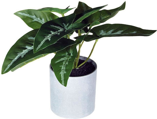 496302 Artificial Plant Philodendron 18cm Grey Plastic Pot Ø8xH8cm 496302 Artificial Plant Philodendron 18cm Grey Plastic Pot Ø8xH8cm