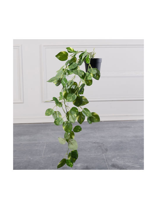 Πόθος σε Γλάστρα 63cm Supergreens