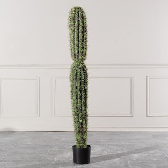 Κάκτος σε Γλάστρα 165cm Supergreens