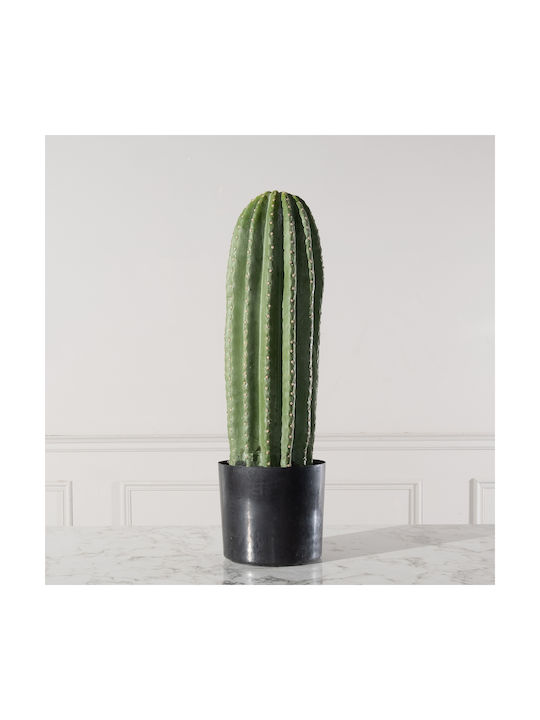 Κάκτος σε Γλάστρα 60cm Supergreens