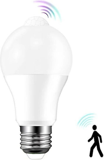 LED Bulb 12W for Socket E27 Cool White