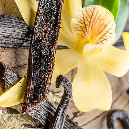 Βανιλια Fructus Uganda Gourmet Sticks