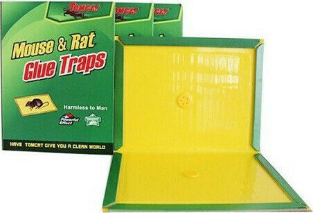 Viosarp Glue Trap 1pcs