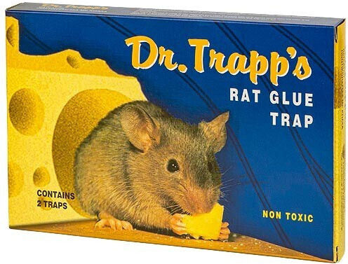 STAC Dr Trapp's Glue Trap 16x24cm 2pcs