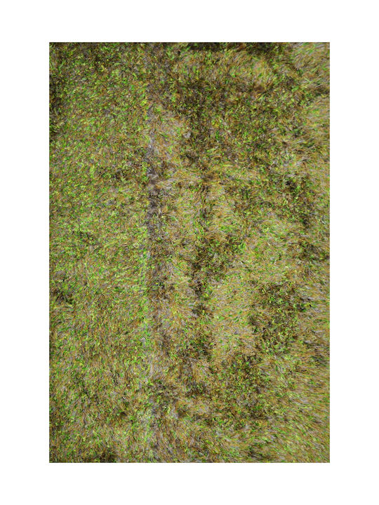 Covoare Living Polyester Shaggy 9039 Verde Deschis-Șandru Asortat 160x230cm
