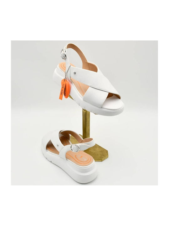 Impronte Shoes Impronte Shoes