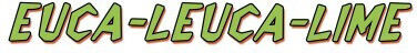 Euca-leuca-lime 236ml Double K