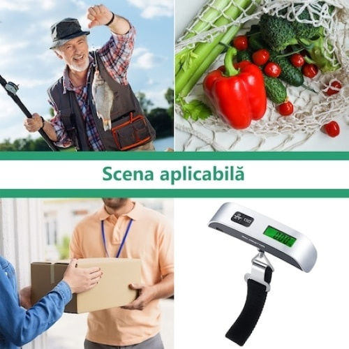 Ζυγαριά Αποσκευών Ασημί