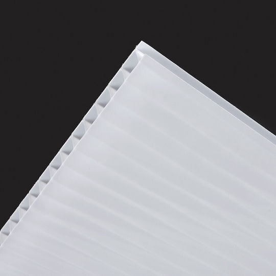 Showood Πολυκαρμπονικό Φύλλο Μ2.1xΠ1m με Πάχος 6mm 210994-1