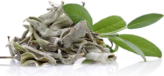 Herbstore Salbei 40gr